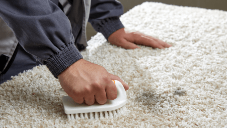 Professional Rug Cleaning Heidelberg
